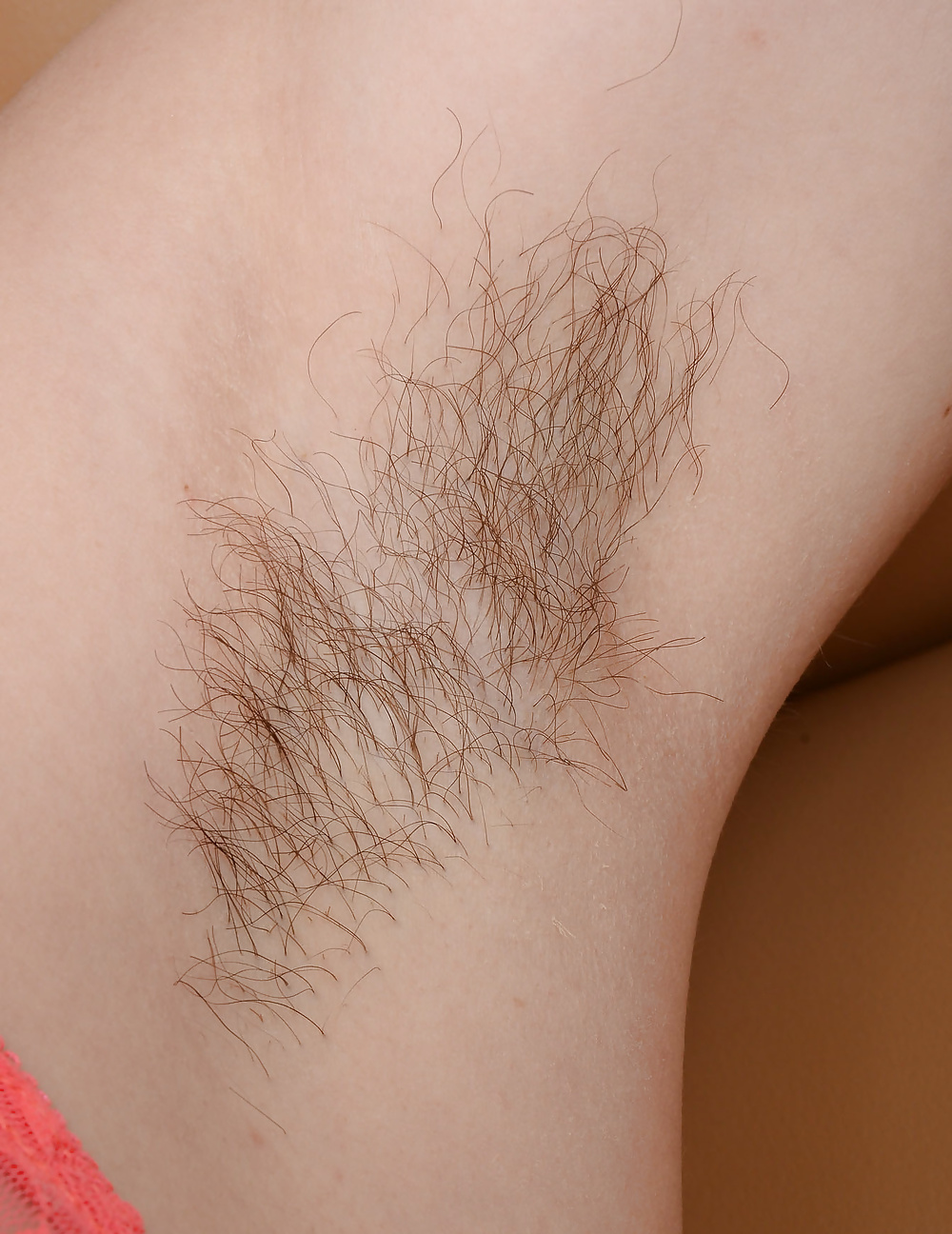 Hairy armpits 2 #30789383