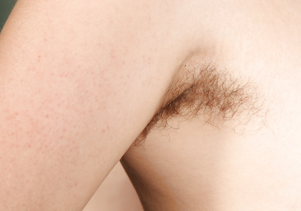 Hairy armpits 2 #30789525