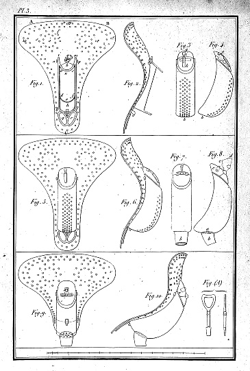 Keuschheitsgürtel Gürtel #31722091