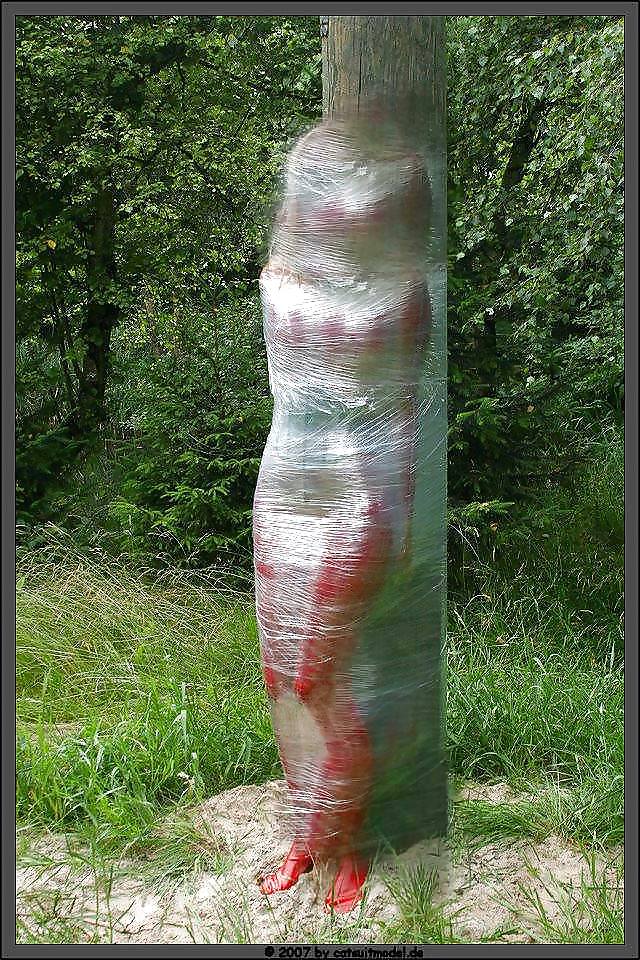 Tyed on a tree  #23712717