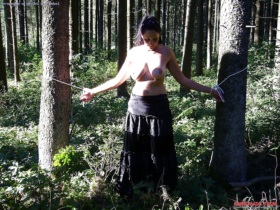 Tyed on a tree  #23712863