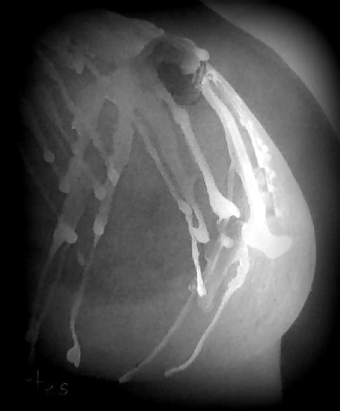 Janas art de la joie 96
 #33769989