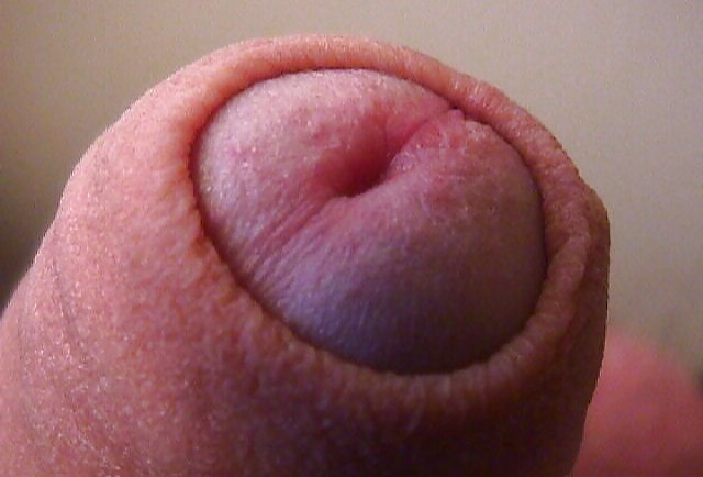 メックス
 #35623452