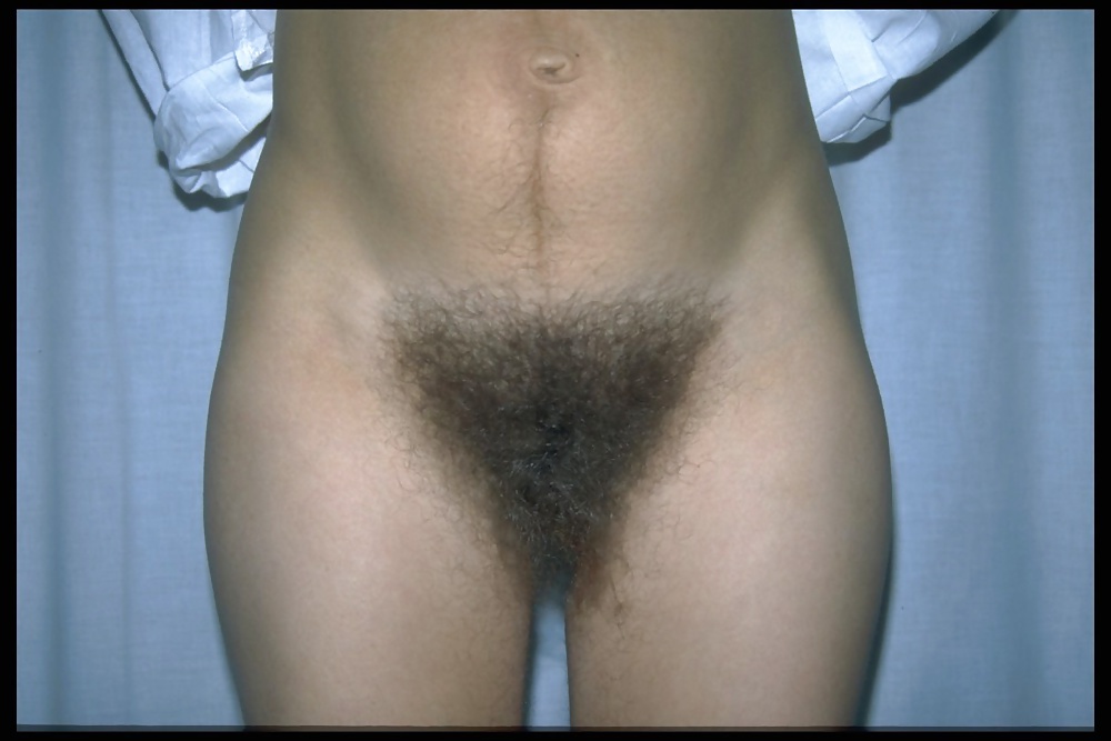 ブッシュ 1
 #34471782