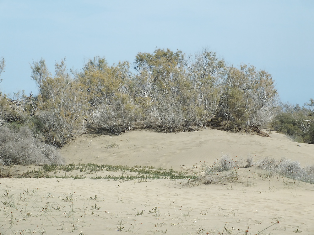 Maspalomas Dunes - people and hidding places #25008752