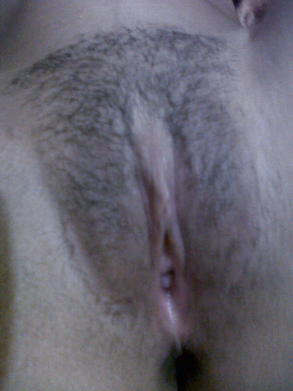 ルルコロンビア（Lulucolombia
 #27780860