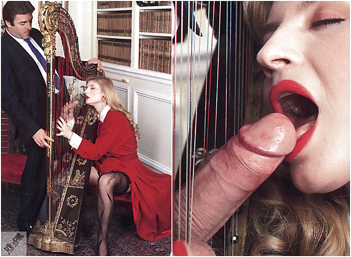 The Harp #33103628