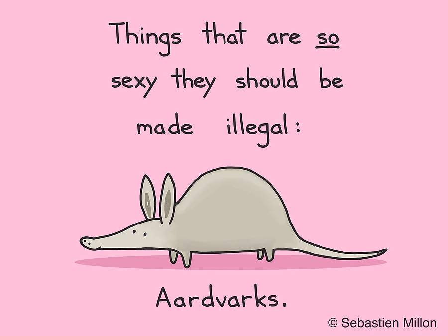 Aardvark #31133958