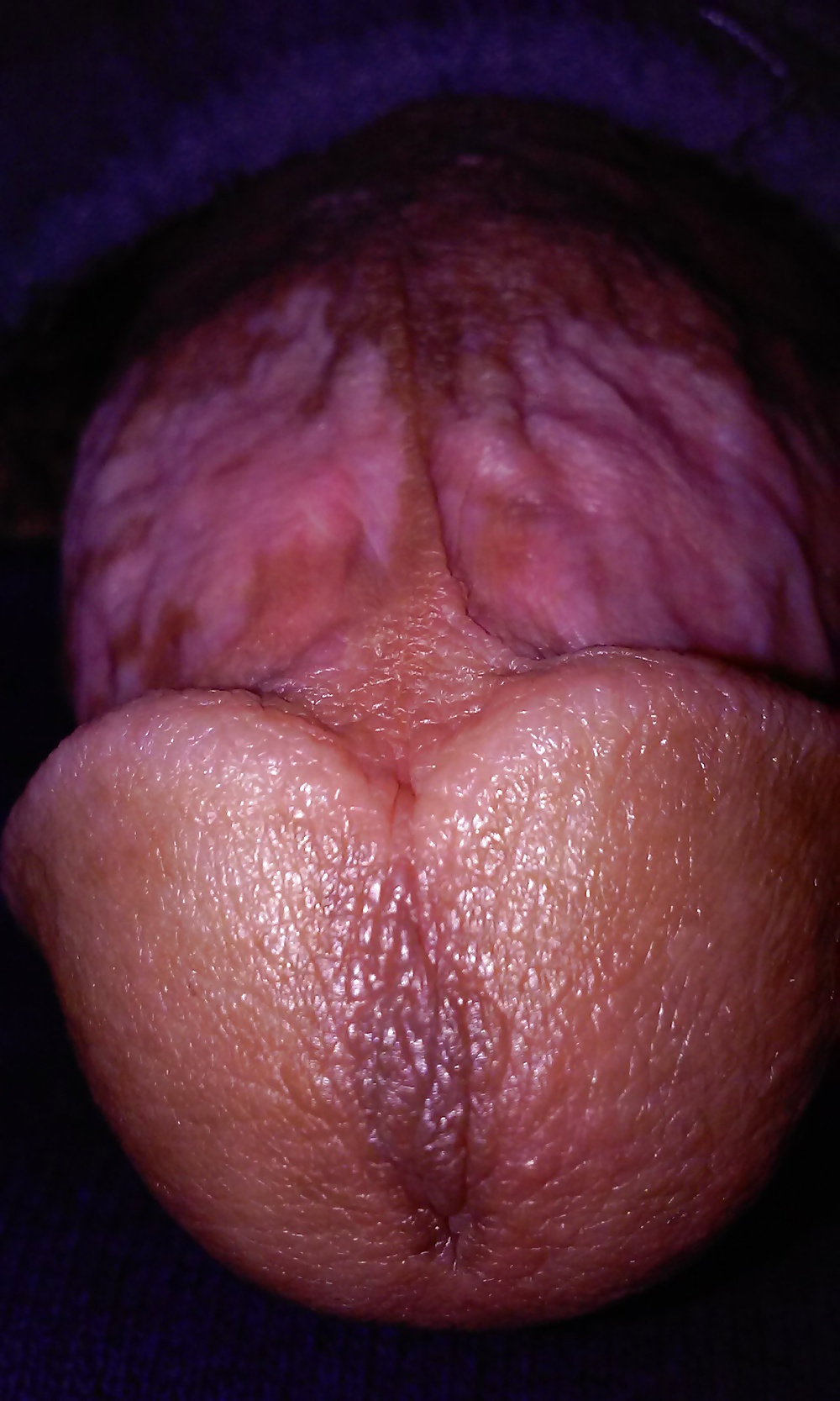 Close up #39652021