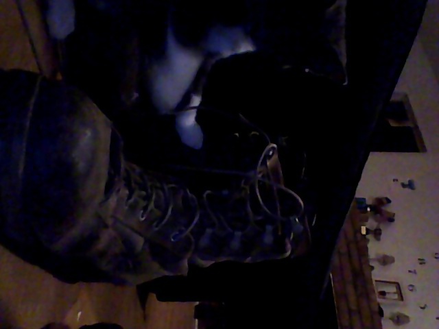 The prime directive of the interwebs #33379407