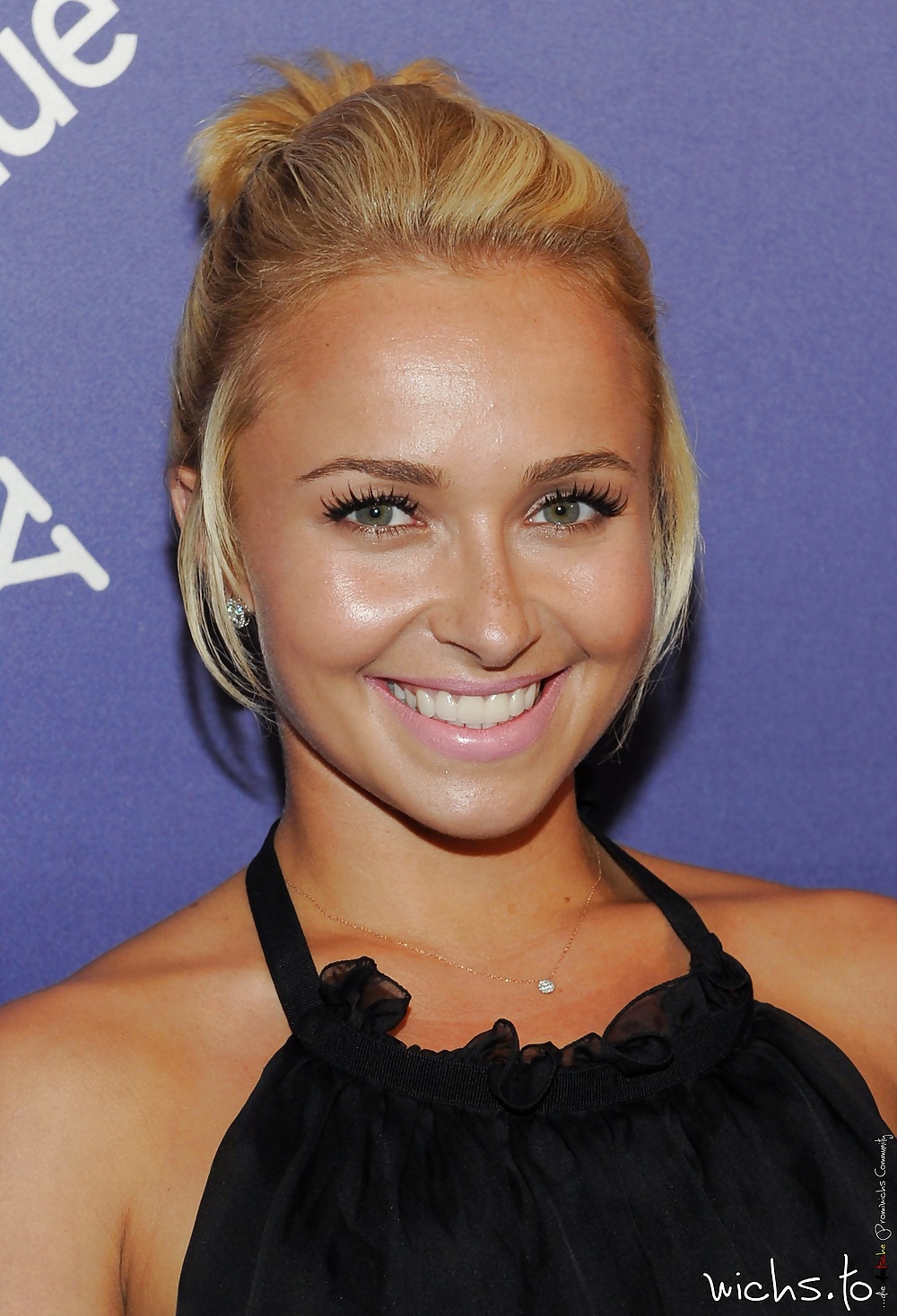 Hayden Panettiere Sammlung #25847052