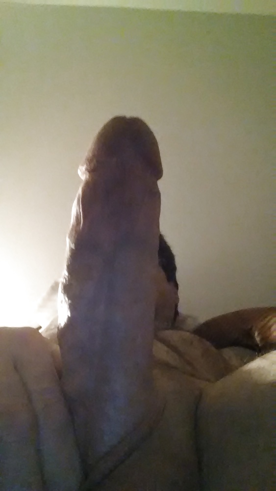 Polla palpitante
 #39427279