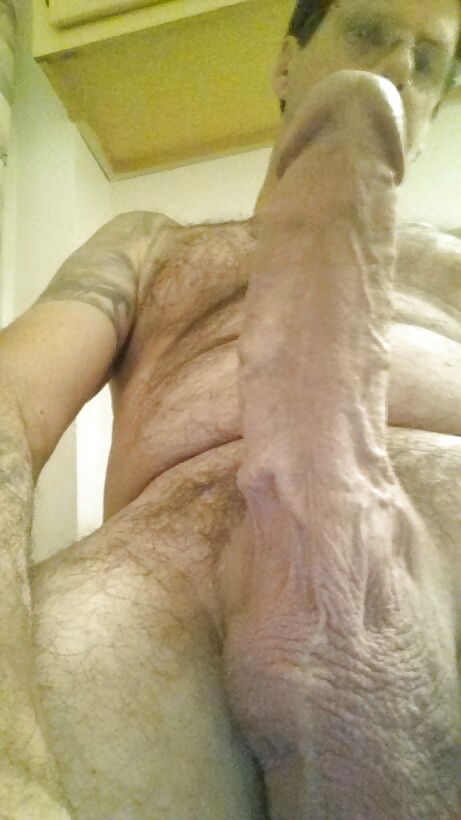 Polla palpitante
 #39427307