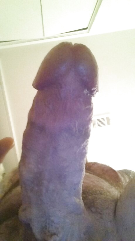 Polla palpitante
 #39427320