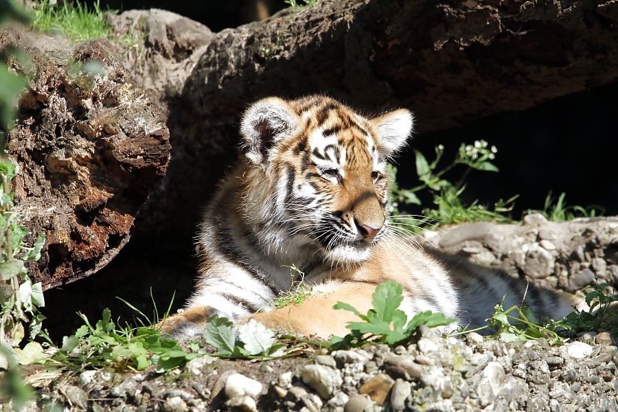 DUISBURG NRW RUHRGEBIET #23067970