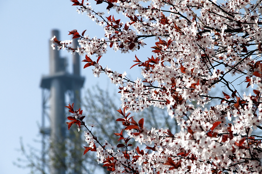 DUISBURG NRW RUHRGEBIET #23068017