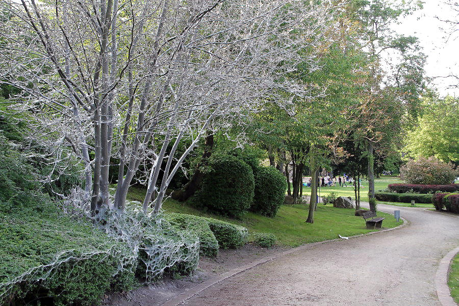 DUISBURG NRW RUHRGEBIET #23068093