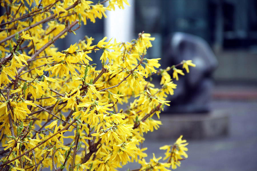 DUISBURG NRW RUHRGEBIET #23068104