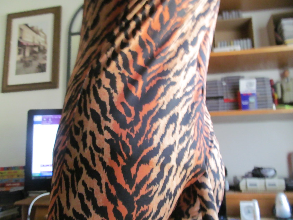 Tiger Zentai #23099052