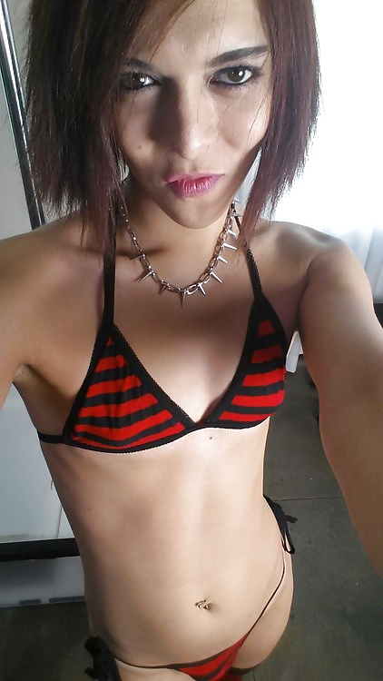 Sissy Gurl Hahn 2 #33820905