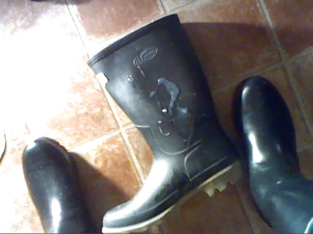 All my own work....dirty wellies. #30729000