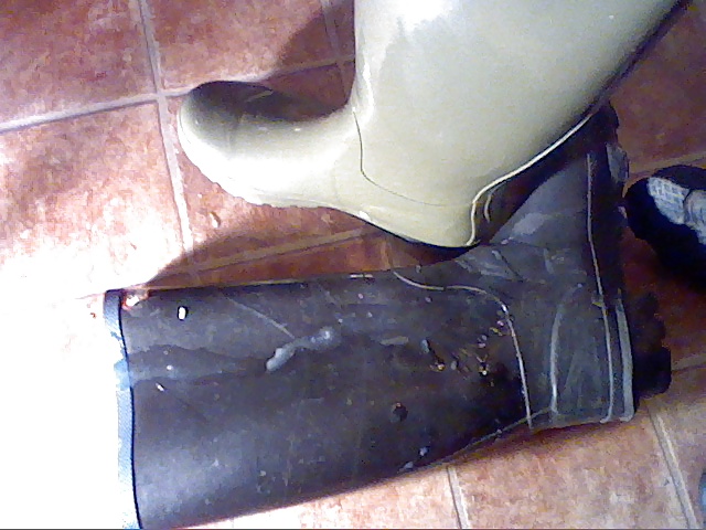 All my own work....dirty wellies. #30729004