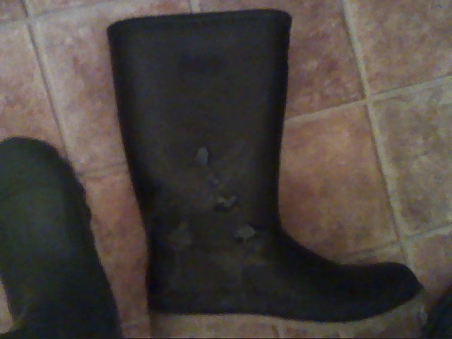 All my own work....dirty wellies. #30729011