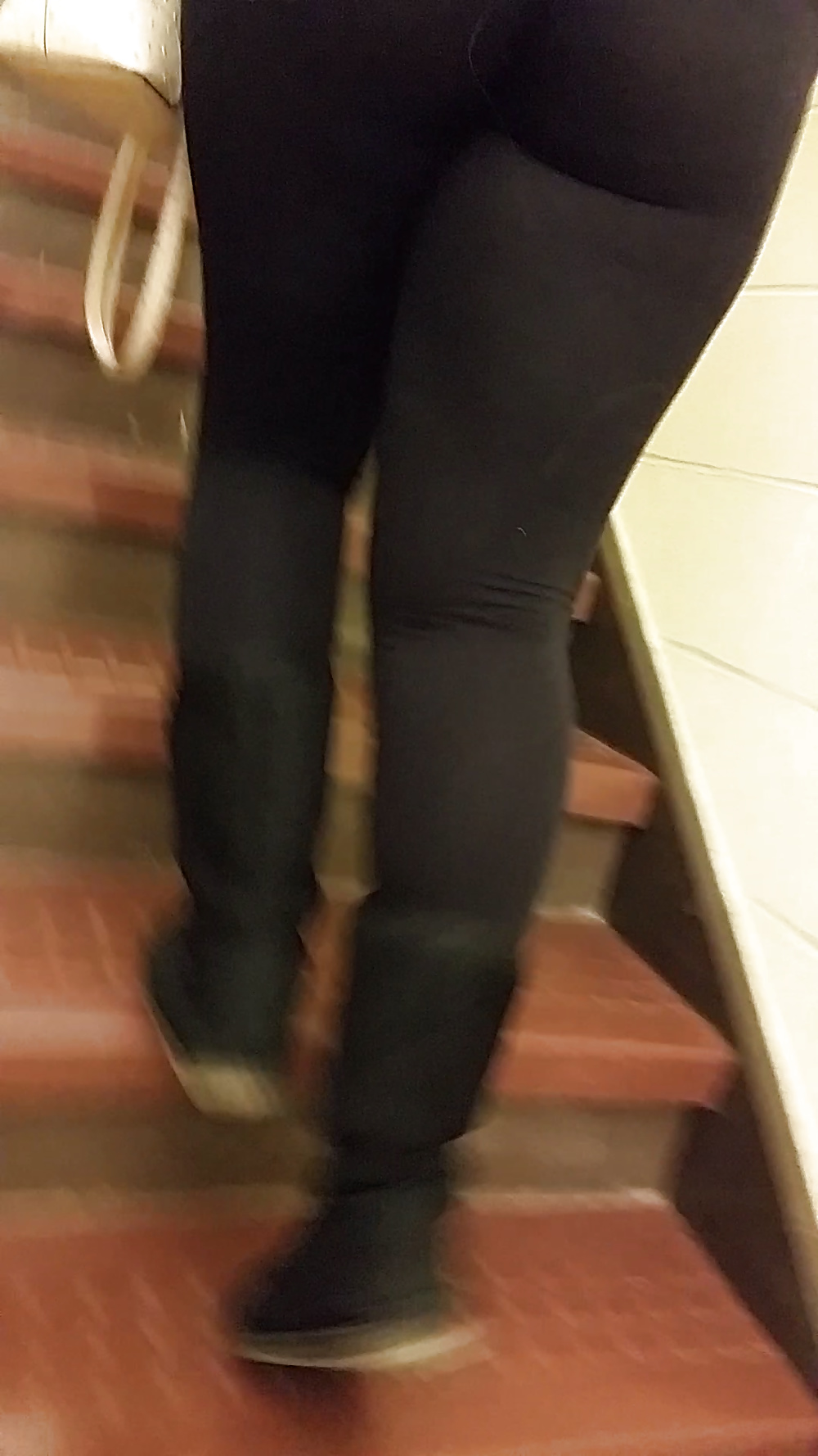 College leggimgs
 #36018440