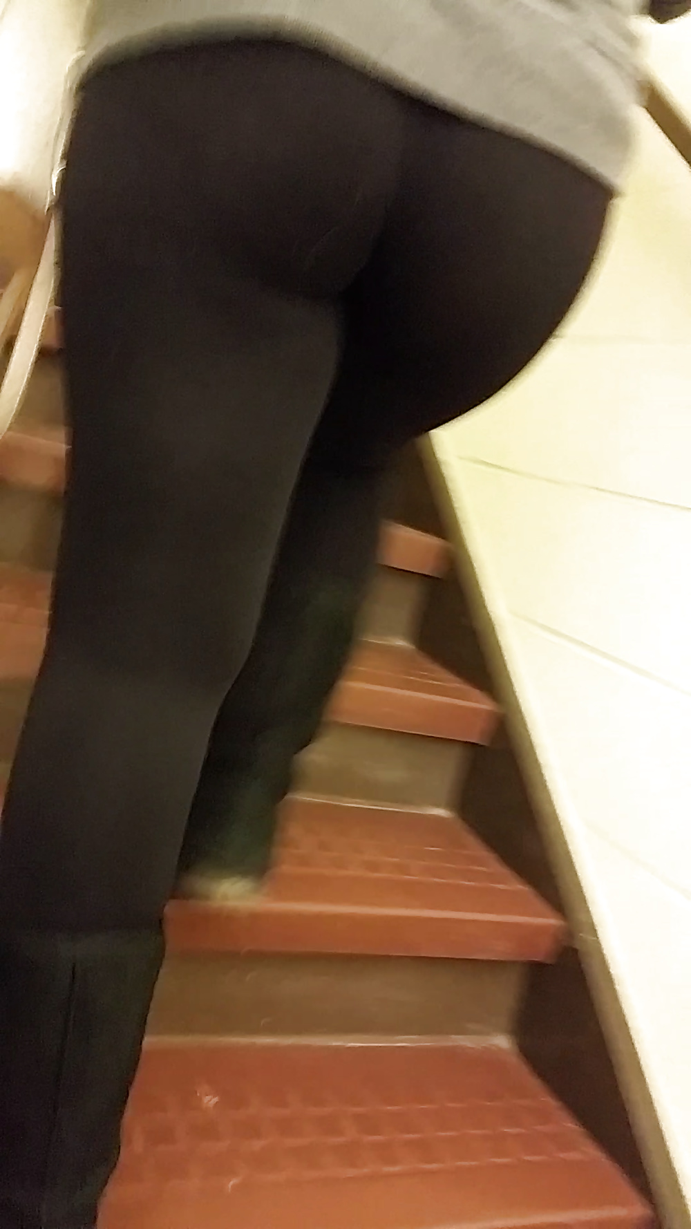 College leggimgs
 #36018445