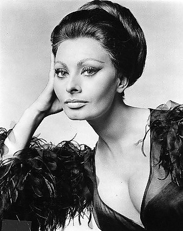 Sophia Loren #24123831