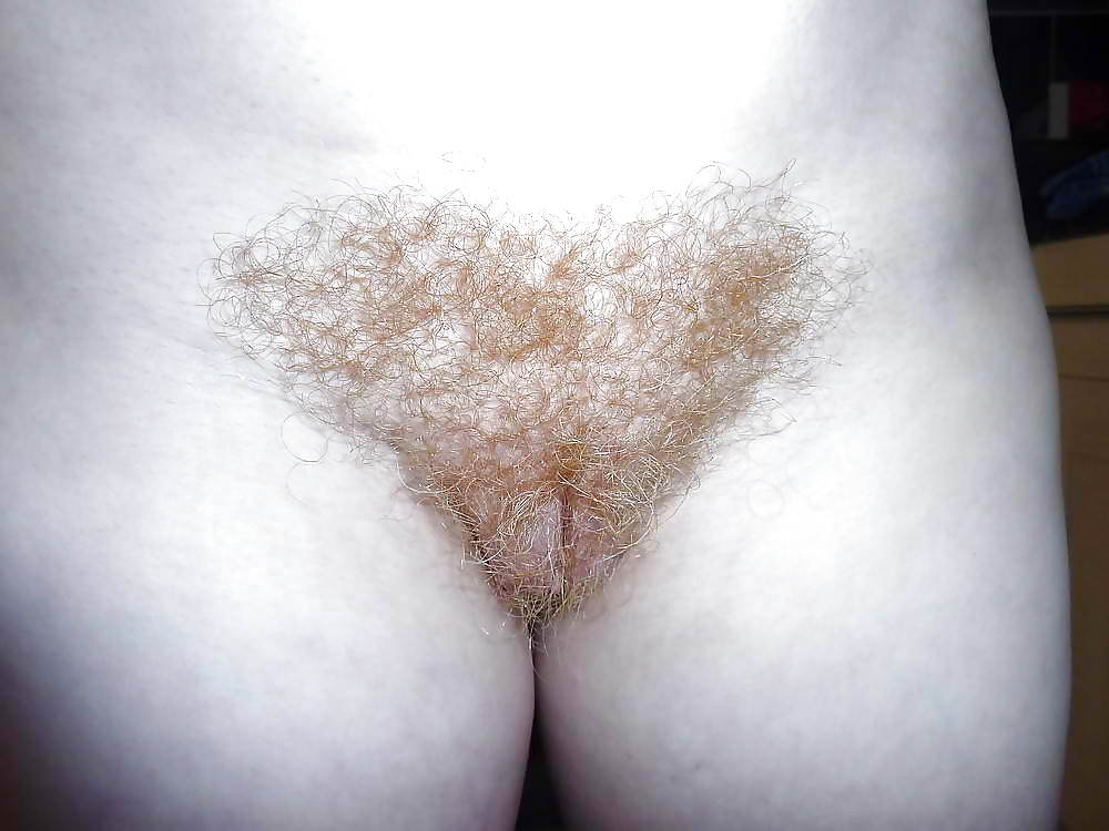 Blonde Hairy Mature MILF #28106202