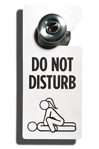 Do not disturb #28090136
