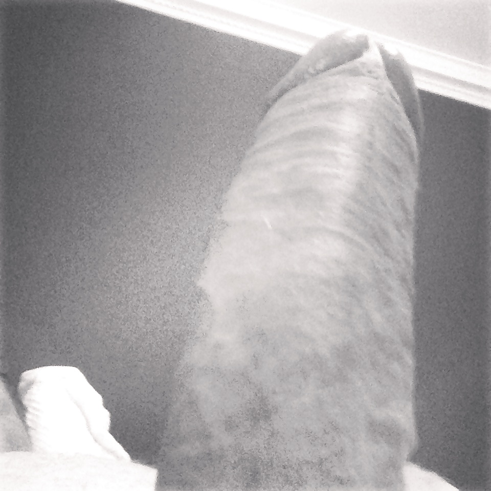 My Cock  & Size #25735944