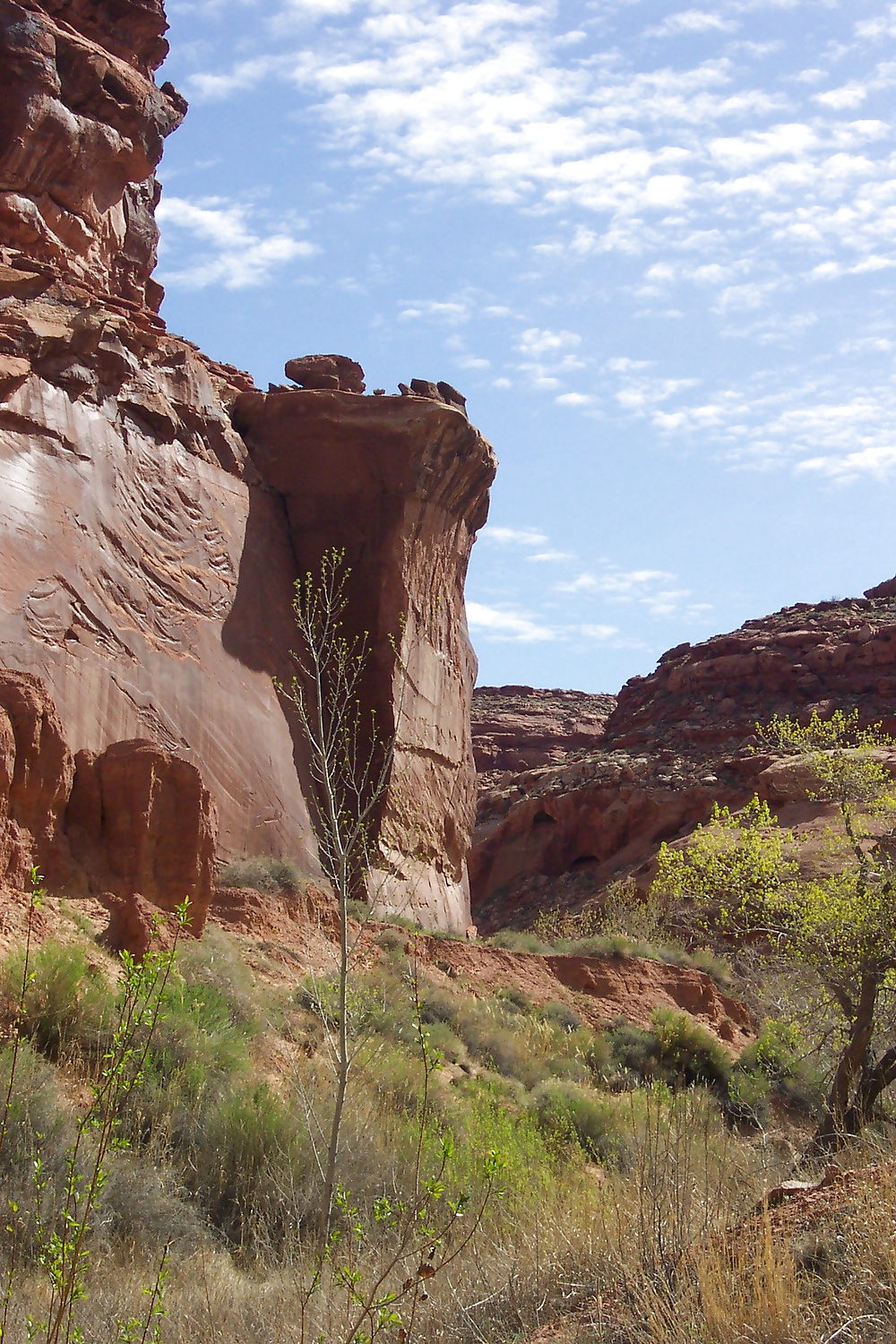 Sur de utah 4
 #31306970