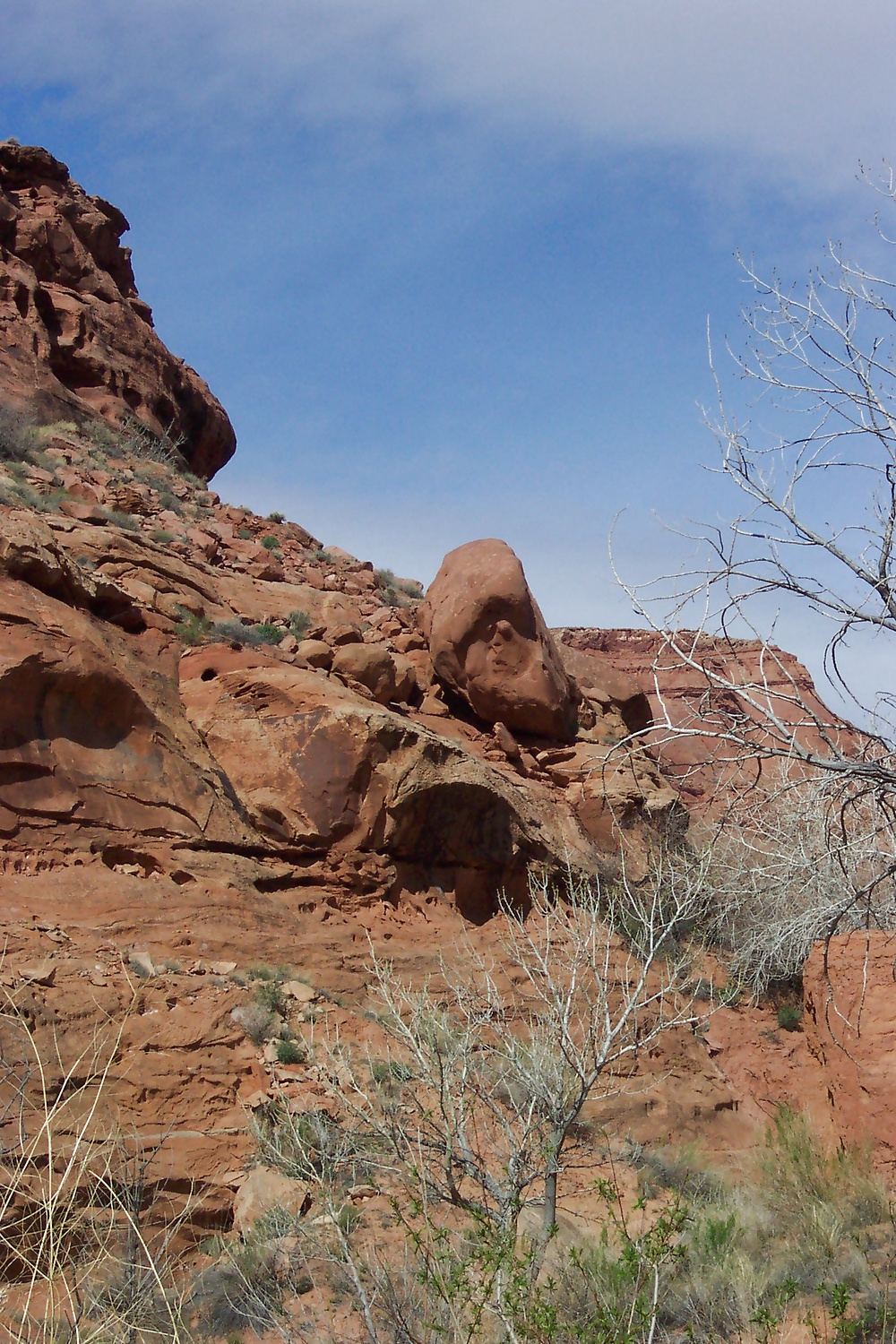 Sur de utah 4
 #31306972