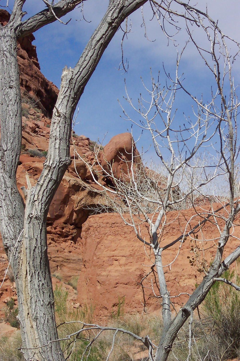 Sur de utah 4
 #31306974