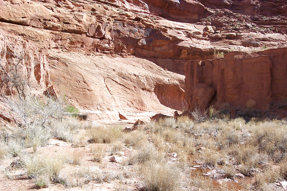 Sur de utah 4
 #31306976