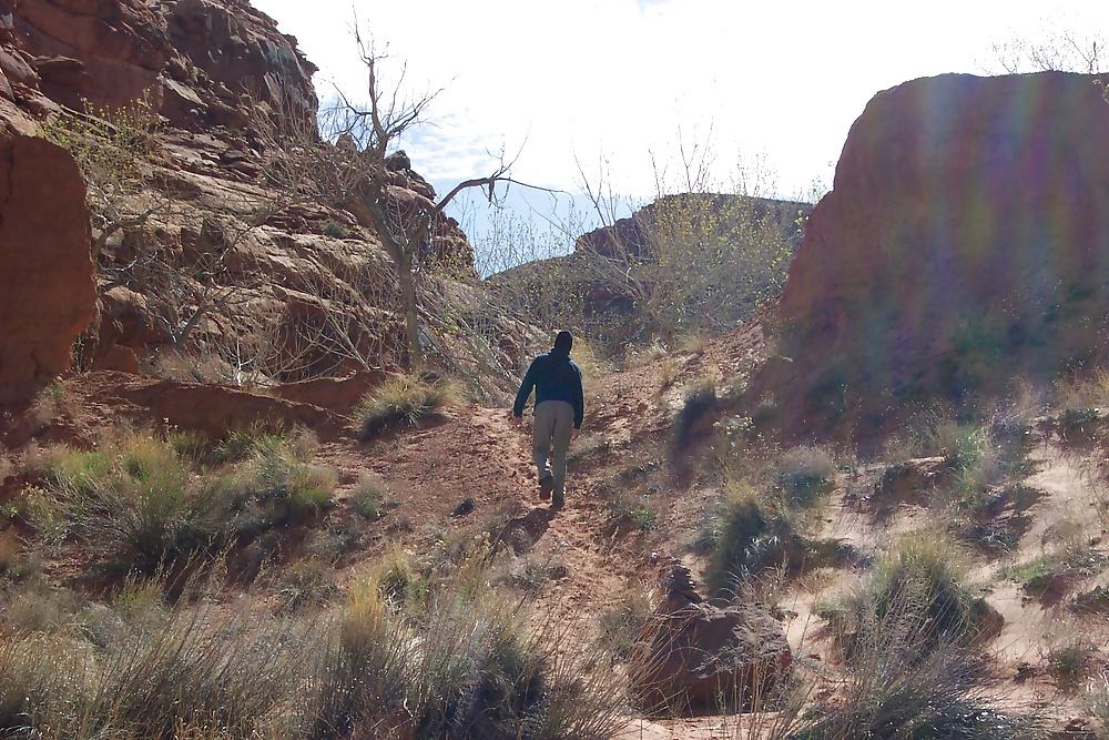 Sur de utah 4
 #31306978