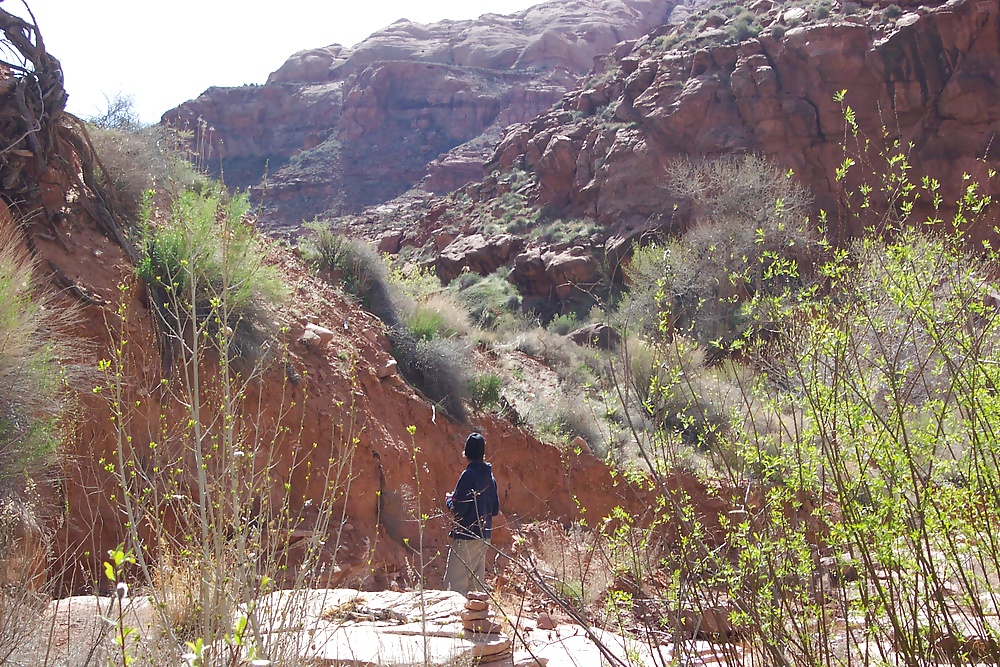 Sur de utah 4
 #31306980