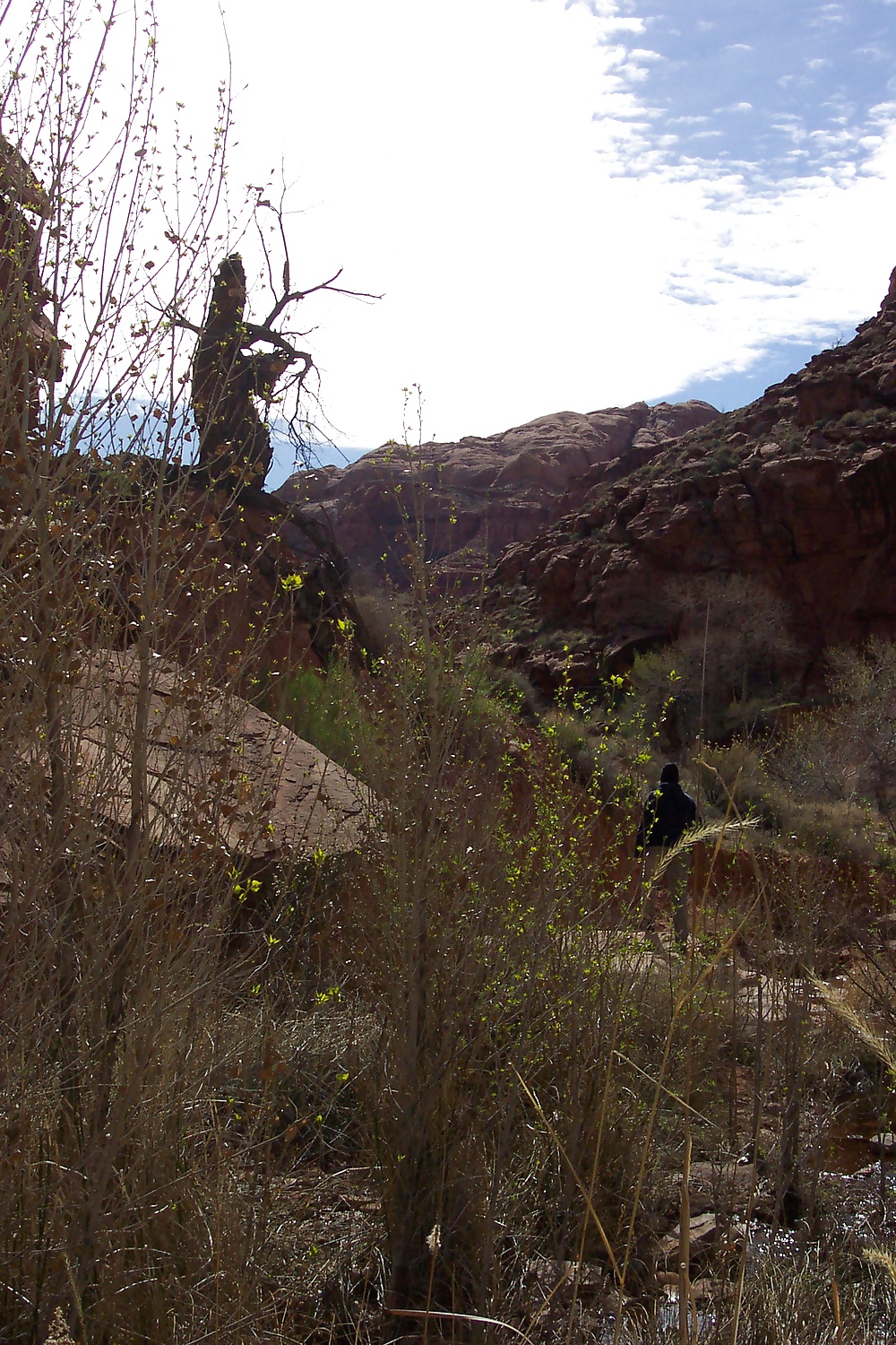 Sur de utah 4
 #31306981