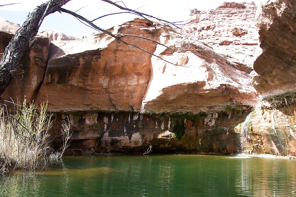 Sur de utah 4
 #31306983