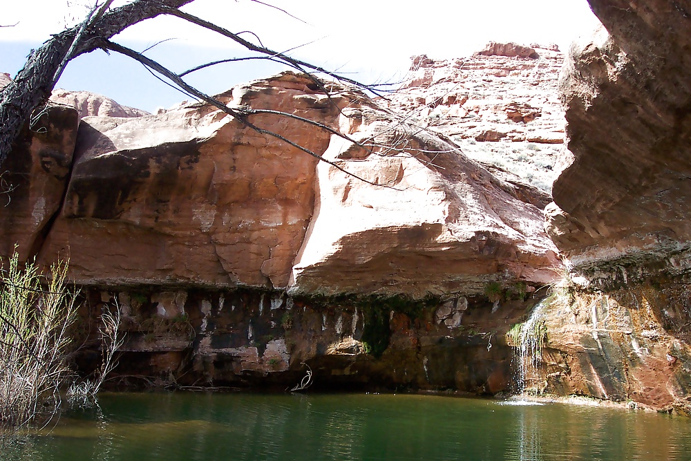 Sur de utah 4
 #31306984