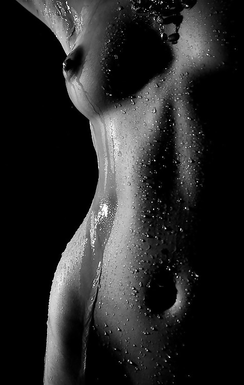 Húmedo 4
 #25001621