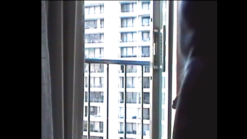 Taking in the view #29550865