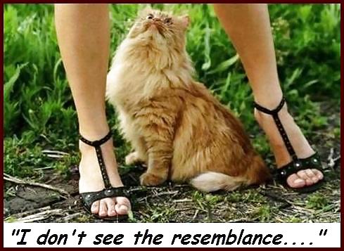 Funny photos #36211414