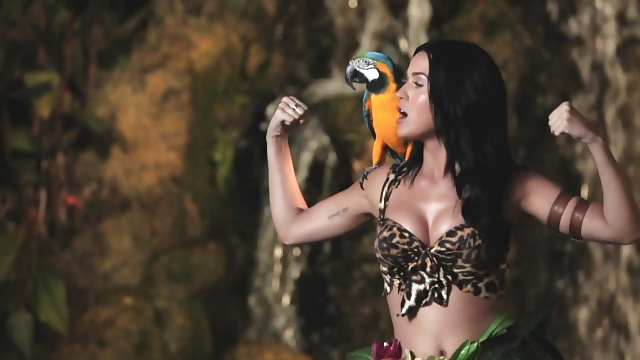 Katy Perry: Roarr :-) #25294596