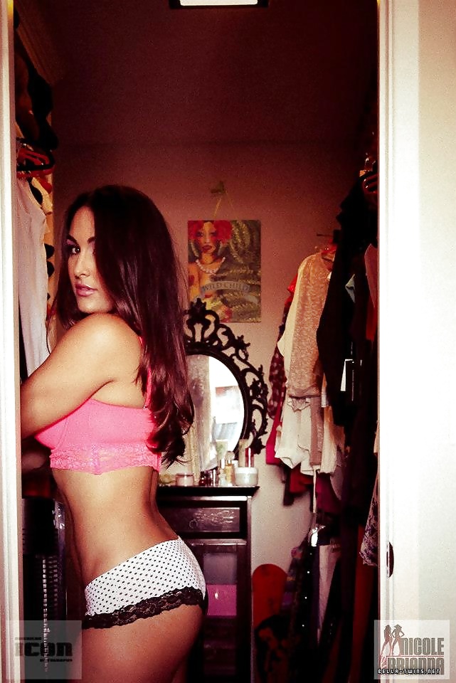 The Bella Twins Bikini, Bra & Panties Photoshoot at Home #30393999