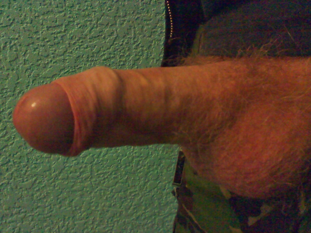 Polla matutina
 #25003790