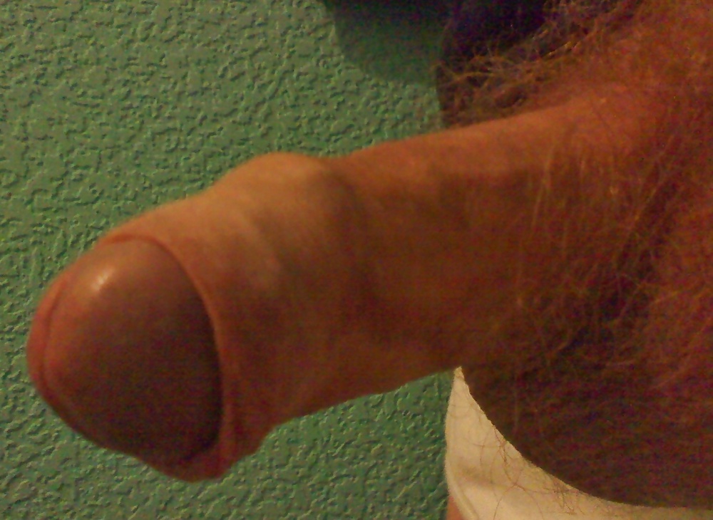 Polla matutina
 #25003814