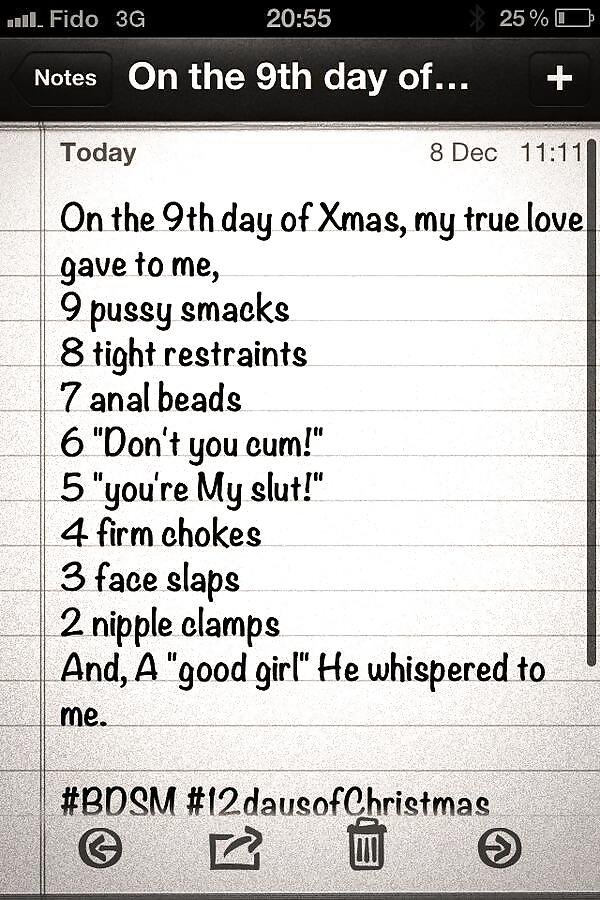 Doce días de navidad - subspacepet en twitter
 #25933487